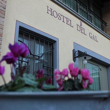 Hostel Del Gal กลูซาเน ภายนอก รูปภาพ